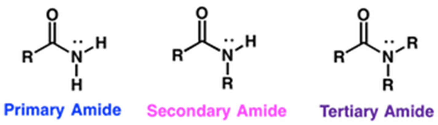 Amides-classification