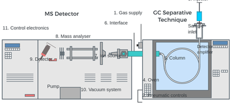 GC-MS