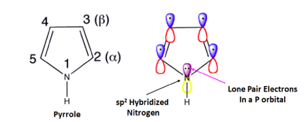 Pyrrole structure lone pair