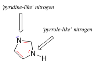 Imidazole-structure-pyridine-like-nitrogen.jpg