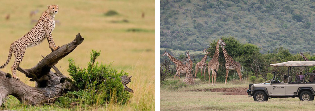 African Safari Family Adventure 2021 10