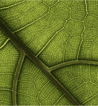 national-cancer-institute-to-8-o-0-bq-oa-6-q-unsplash.png