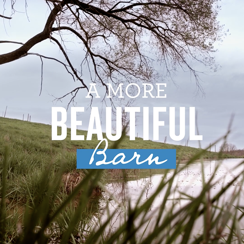 Cargill - More beautiful barn - Square + Tall