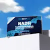 D'Estetic - NADH_0021