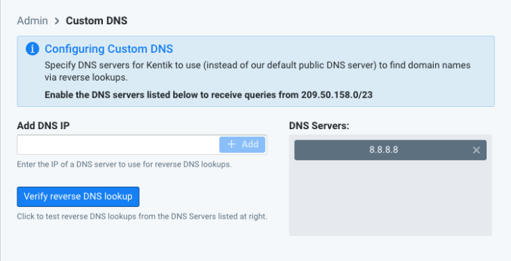 Configuring custom DNS