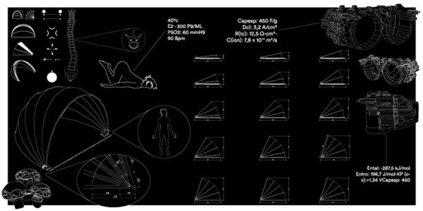 Asset description