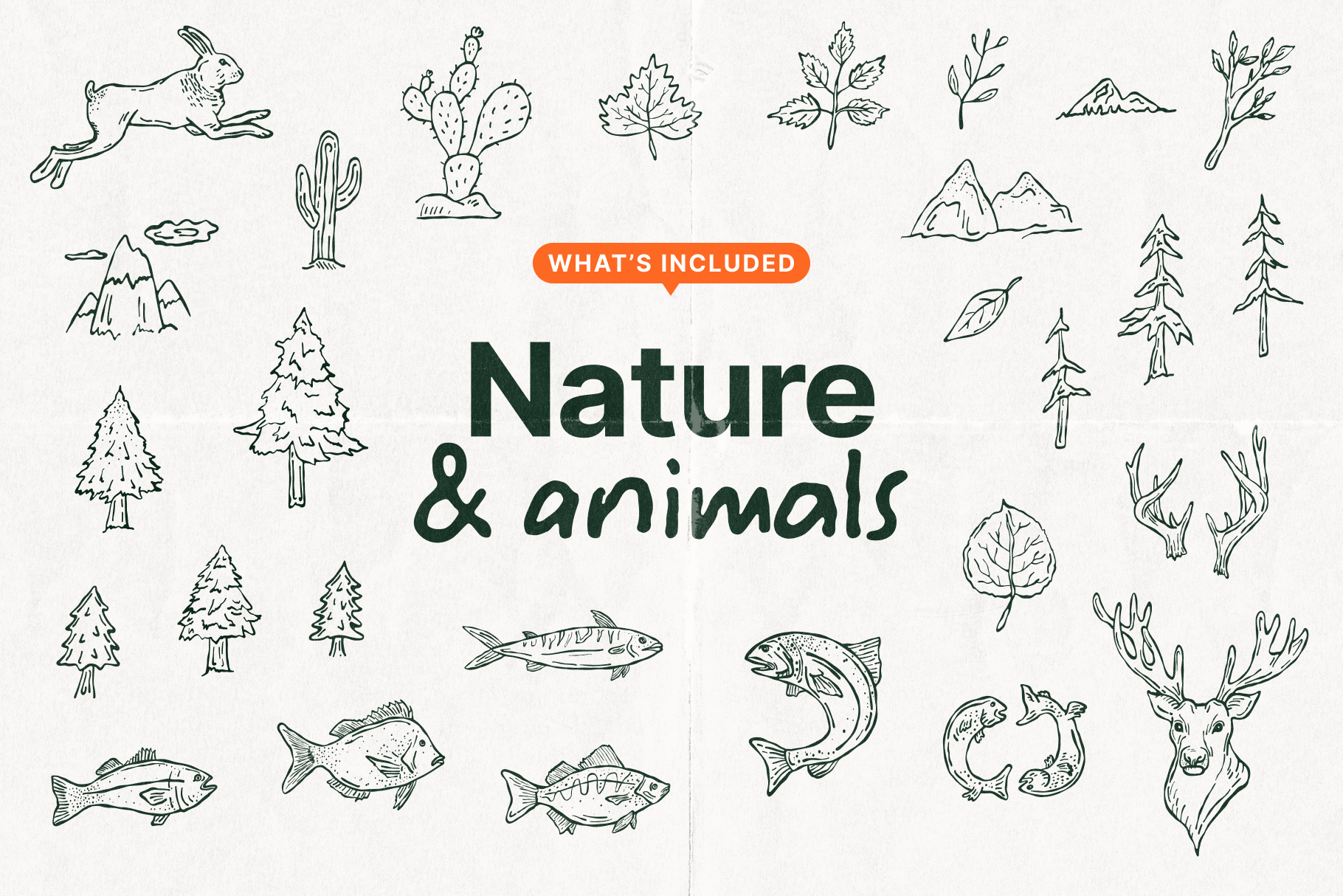 The Camping & Outdoors Illustration Collection: 94 handmade illustrations of plants, animals, outdoors, adventure, nature and more.