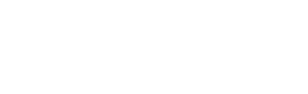 Stayfree® India Logo