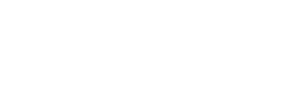 Stayfree® India Logo