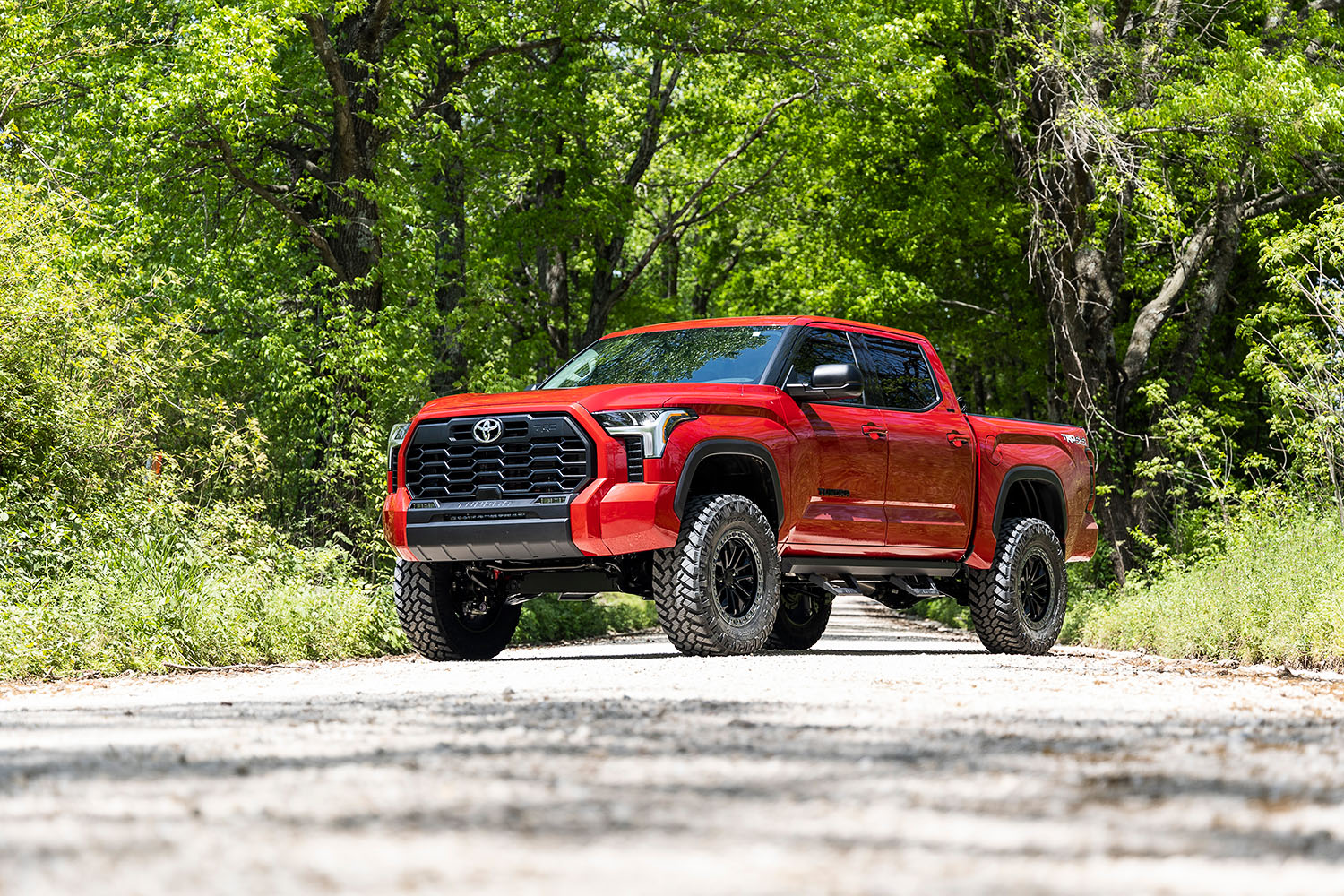 Category Hero: Lighting - JoseR