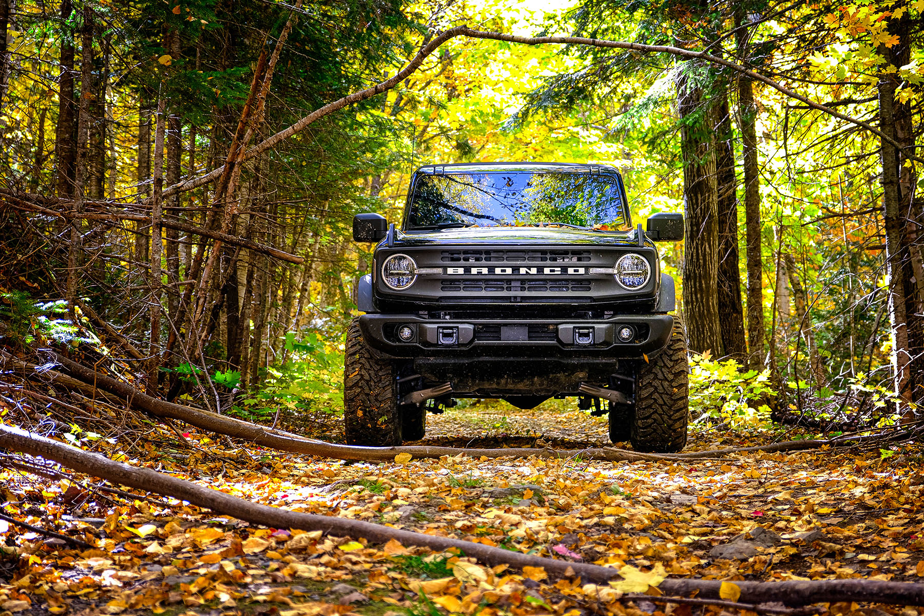 Category Hero: Interior