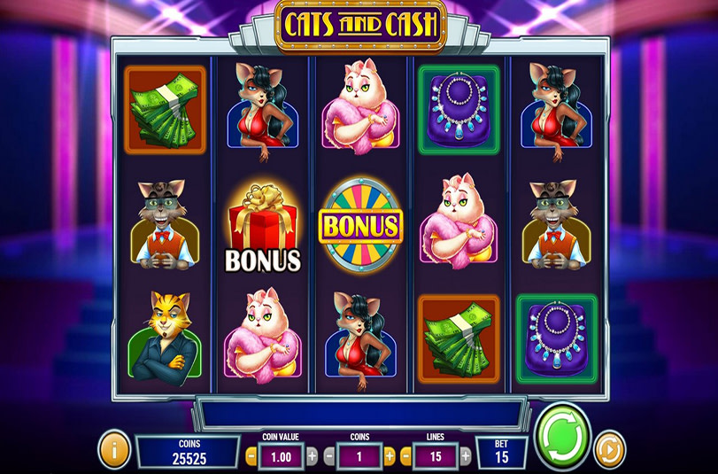 Cats and Cash Play'n GO screenshot