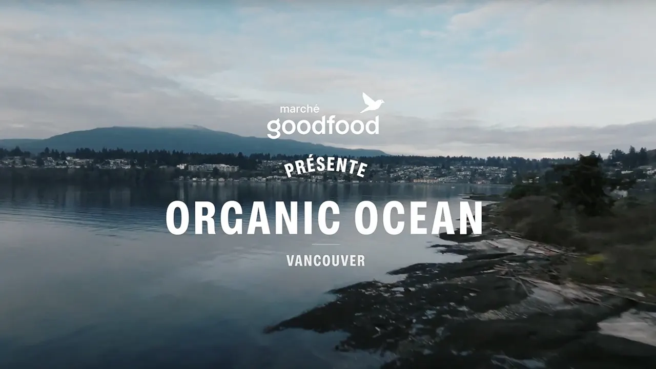 Organic Ocean Goodfood Presents Blogpage Thumbnail
