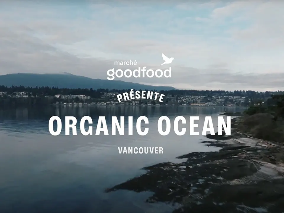 Organic Ocean Goodfood Presents Blogpage Thumbnail