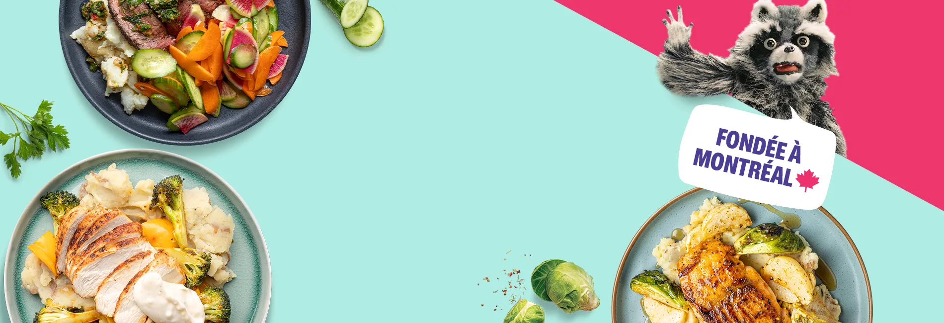 Homepage-Hero-Banner-FR