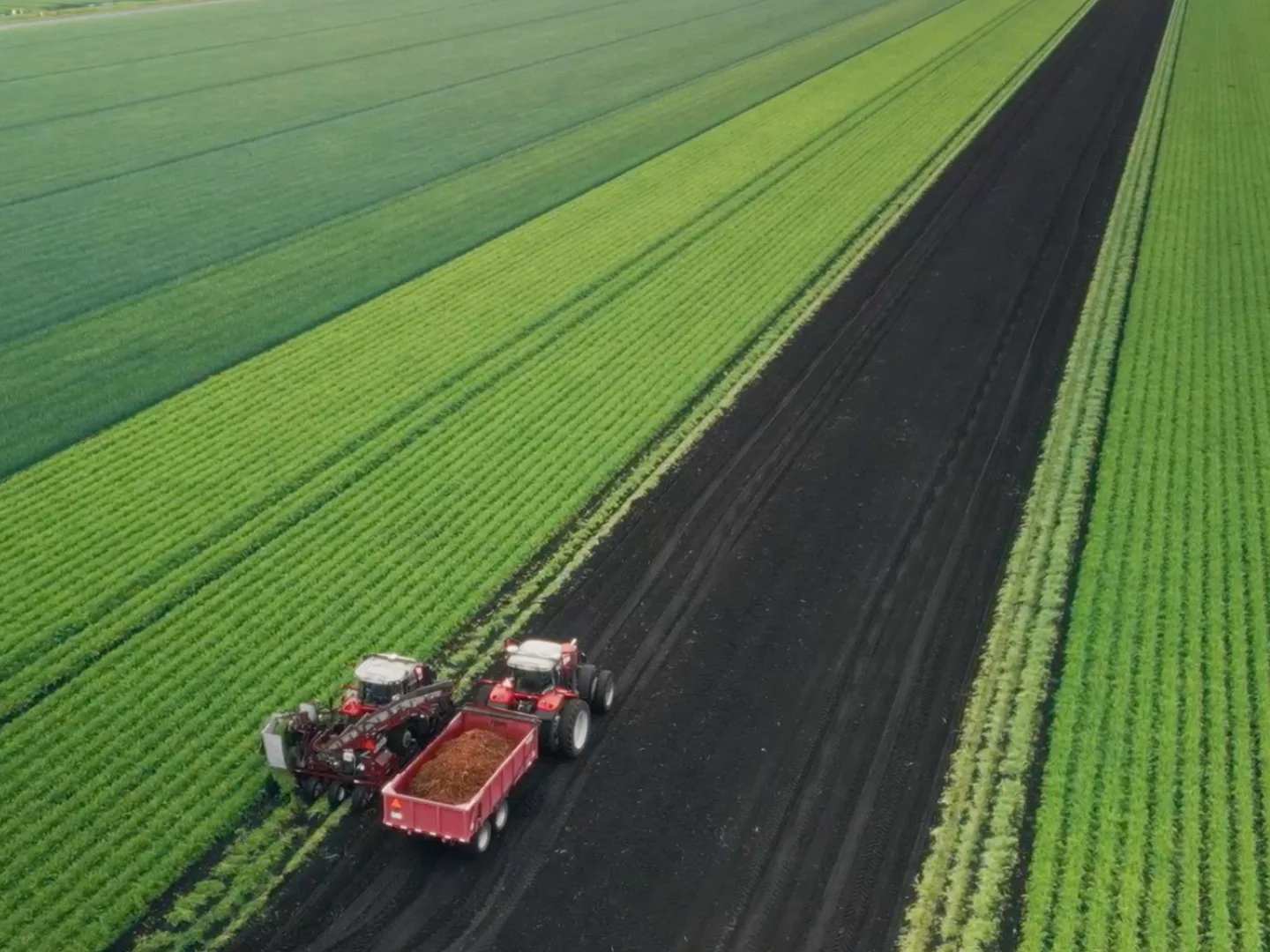 Fermes GNC Tracteur dans les champs