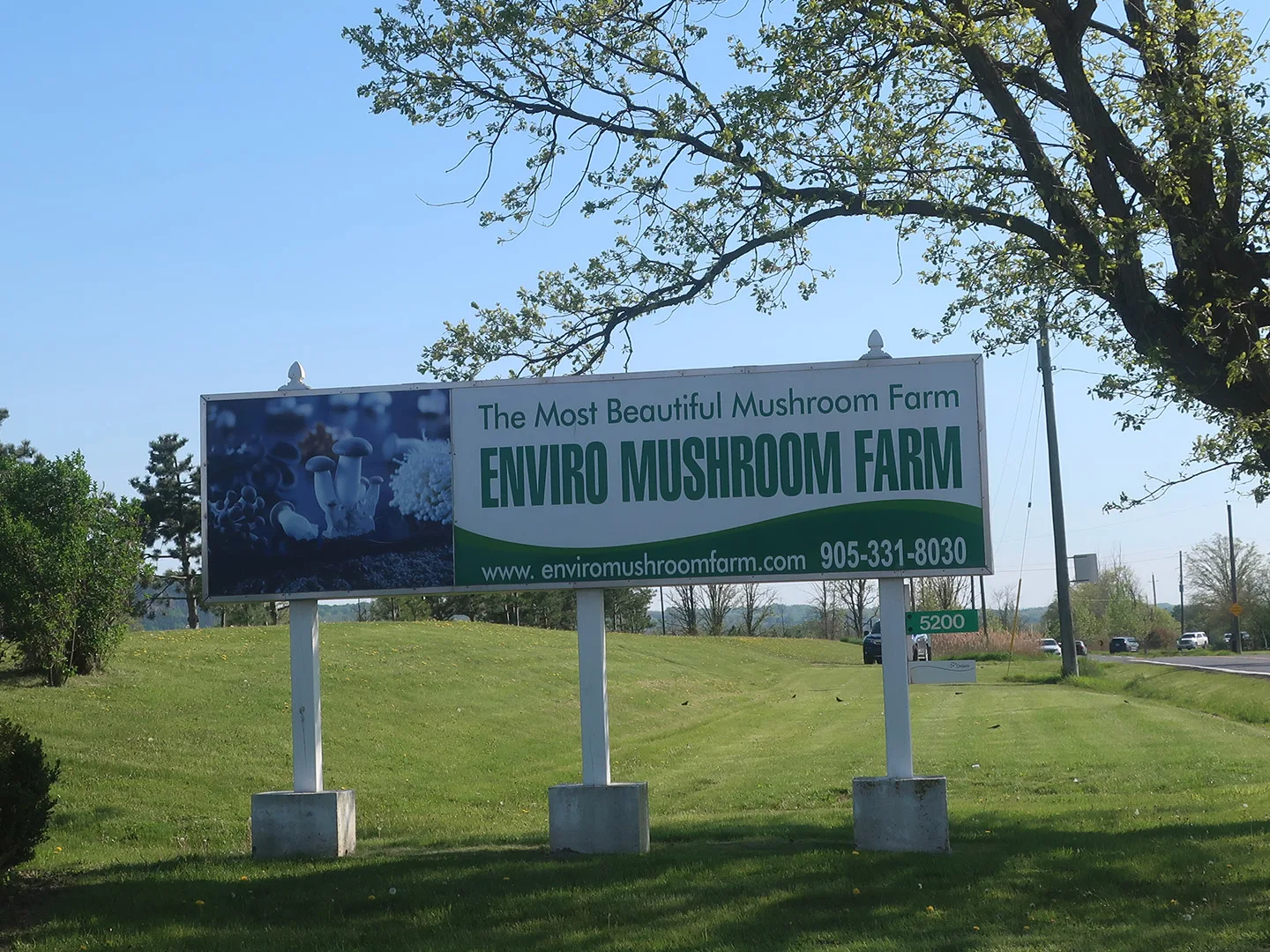 Enviro Mushroom Farm Front Signage