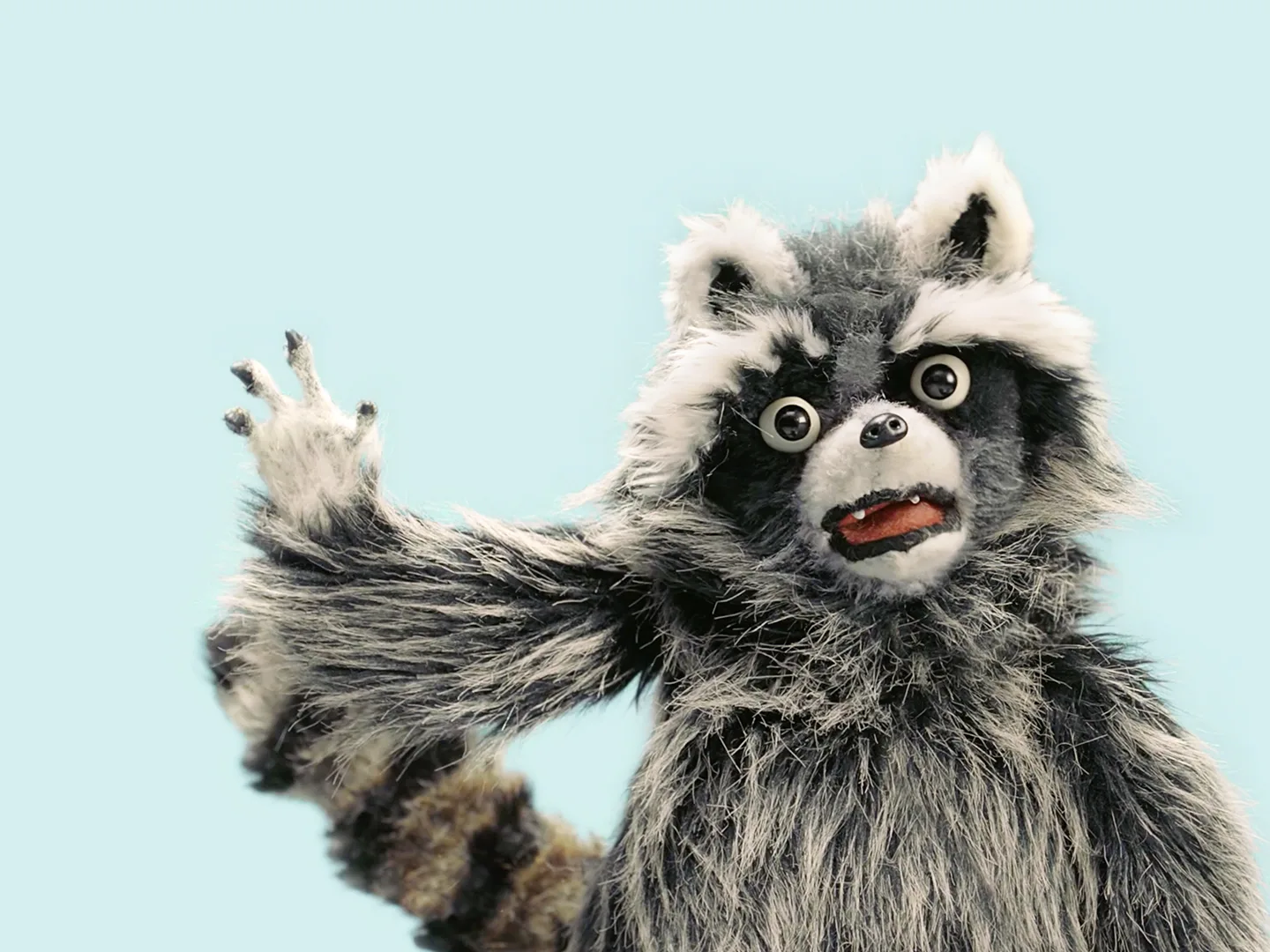 Meet Richard the Racoon - Garbage Manager