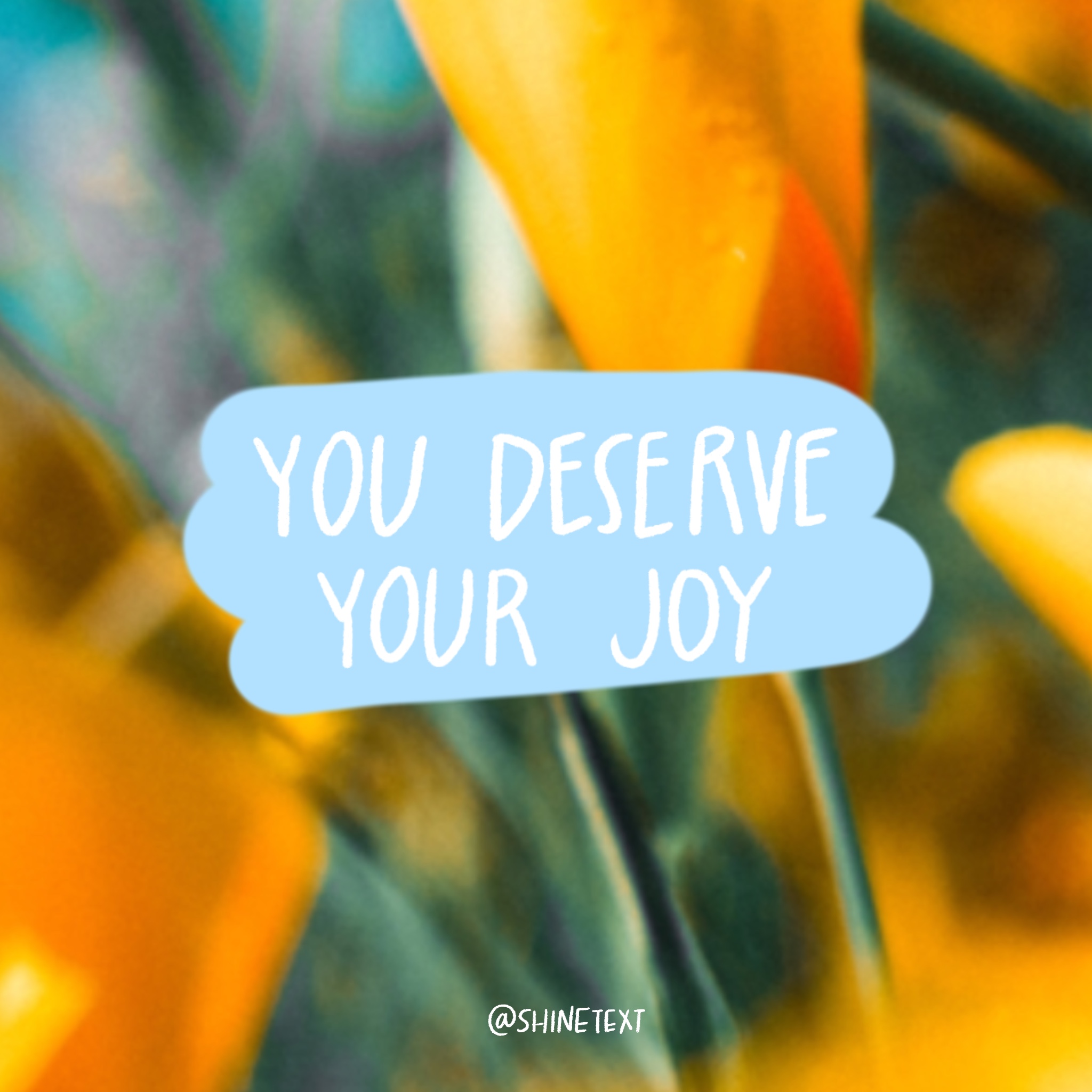 You Deserve Your Joy