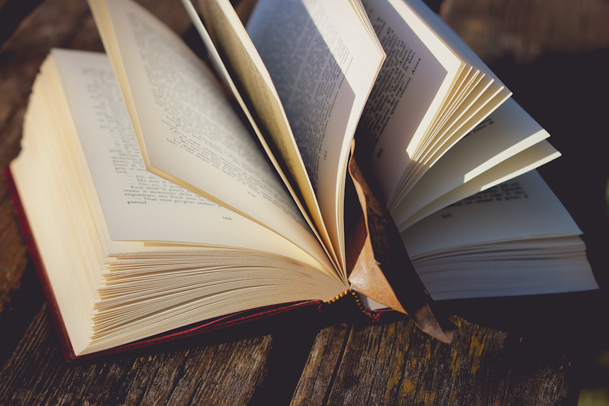 12 Books That Got Us Through 2020 Shine 12 Books That Got Us Through 2020 Shine