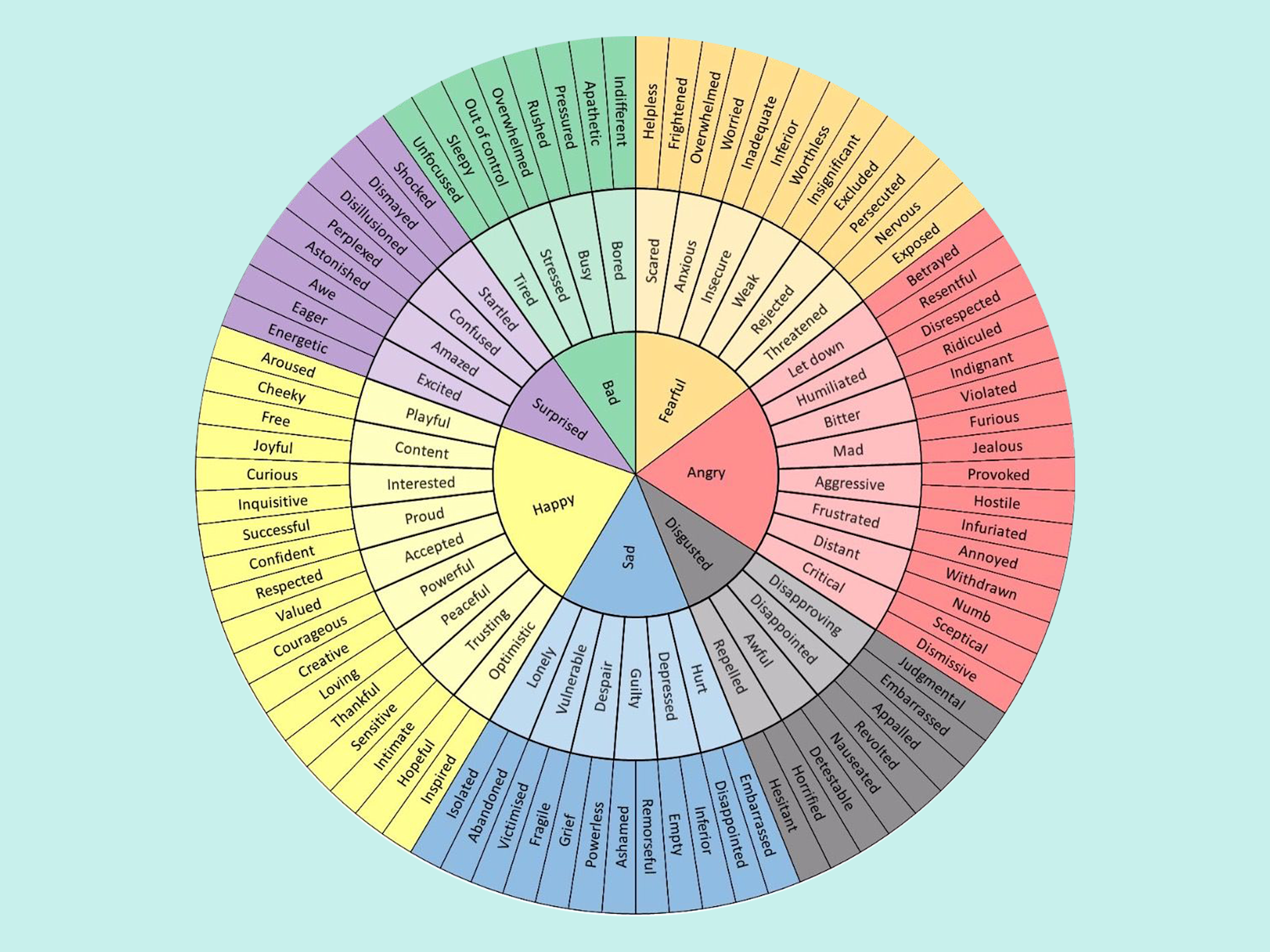 Struggling To Name How You Feel Try Using This Wheel Shine Struggling To Name How You Feel Try Using This Wheel Shine