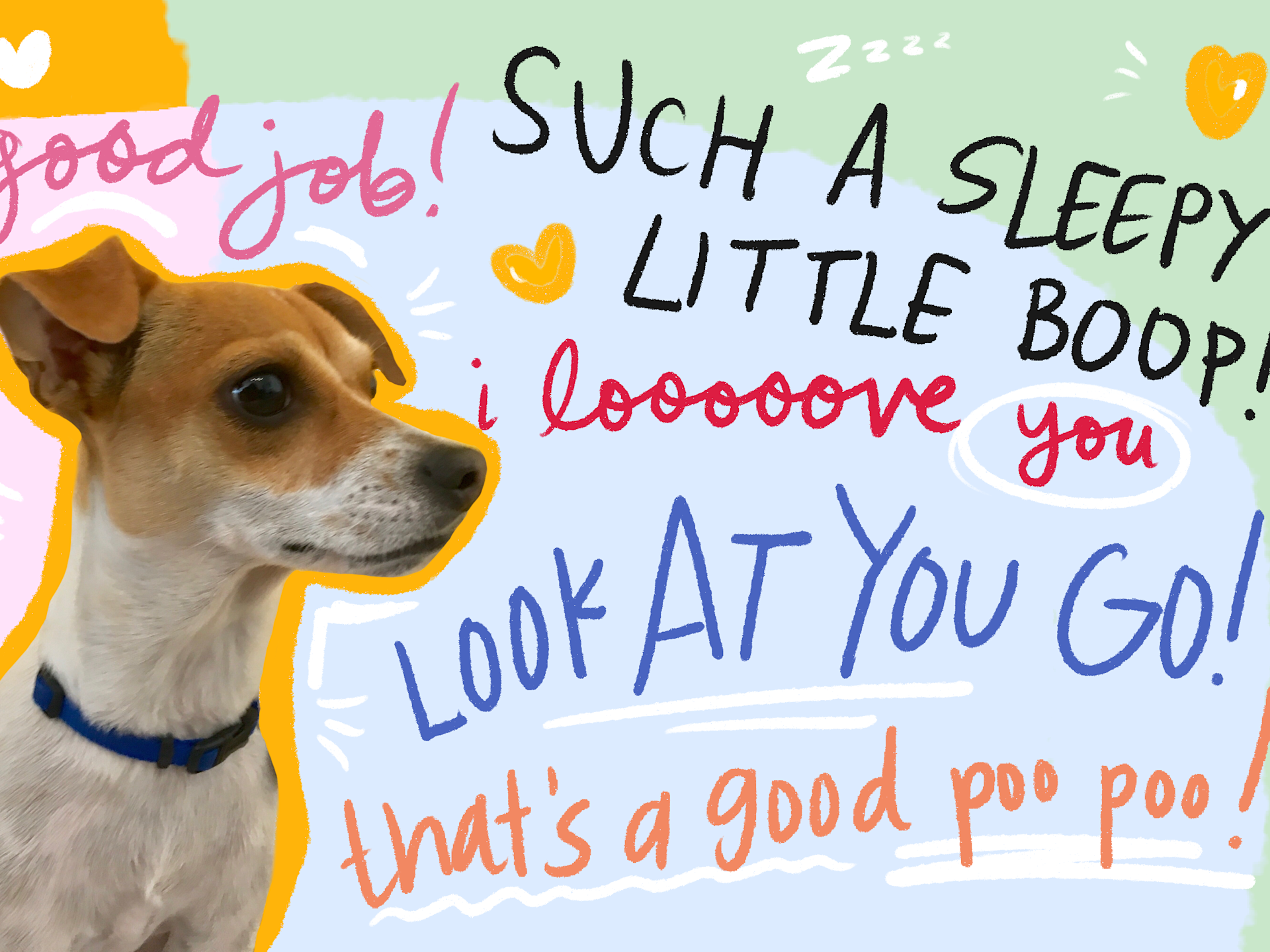 Talk about online your pet dog