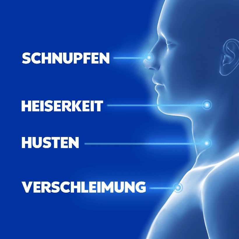 wick vap WICK VapoRub Salbe 50 g online kaufen kaufen main image 1