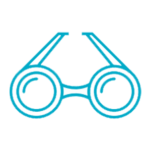 DeltaVision network icon