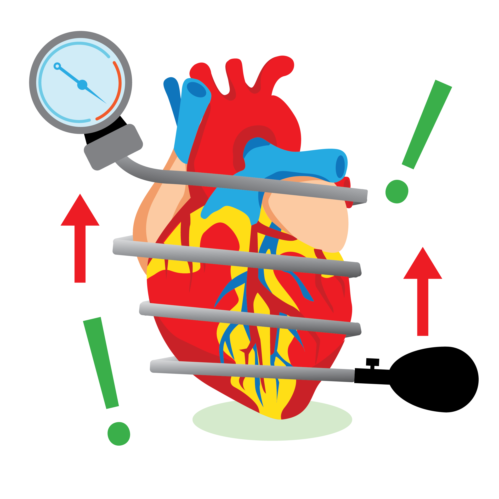 Illustration of anatomical heart wrapped in blood pressure cuff