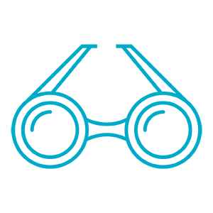 DeltaVision network icon