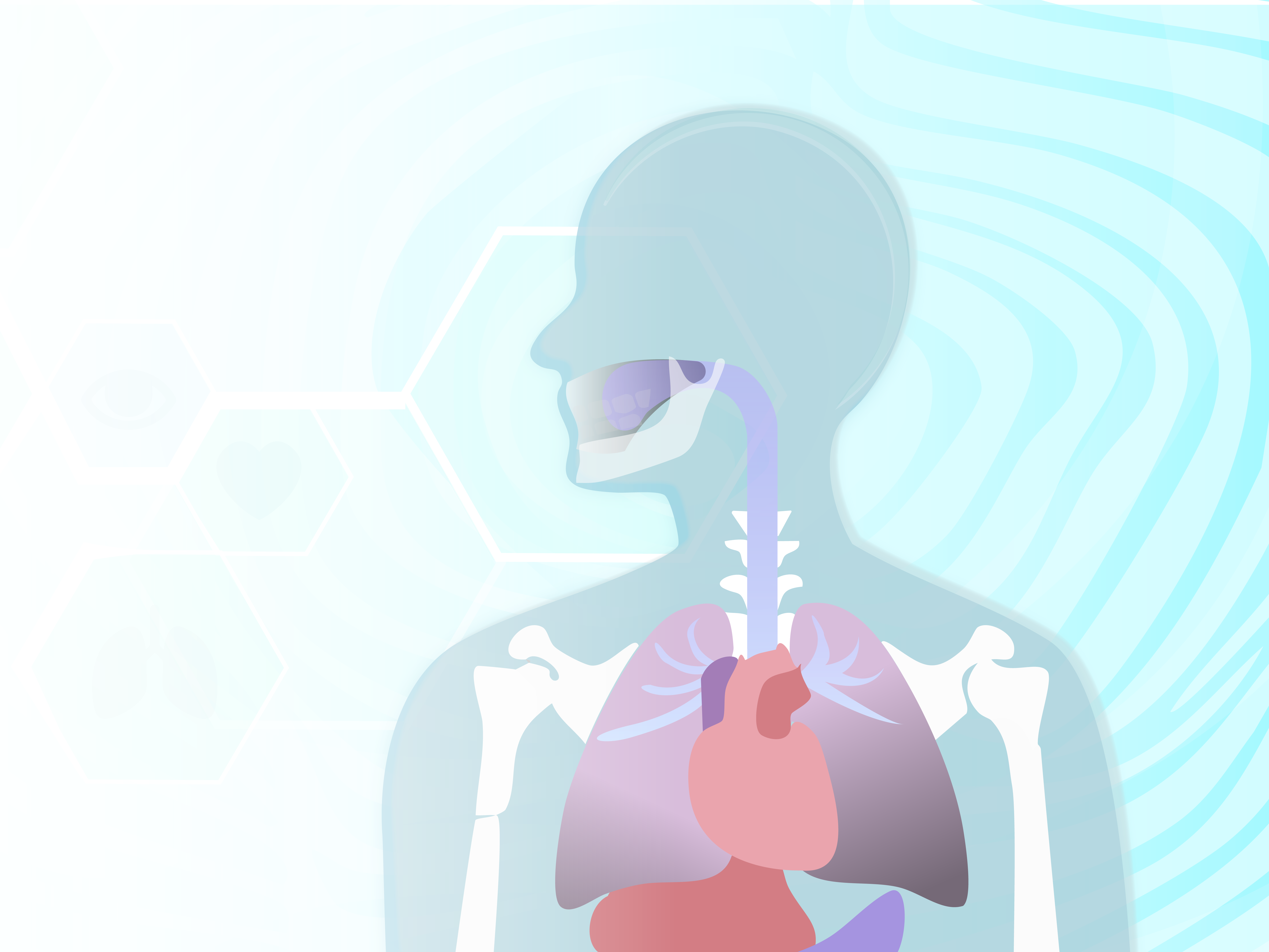 How your mouth connects to the rest of your body when it comes to your overall health and wellbeing