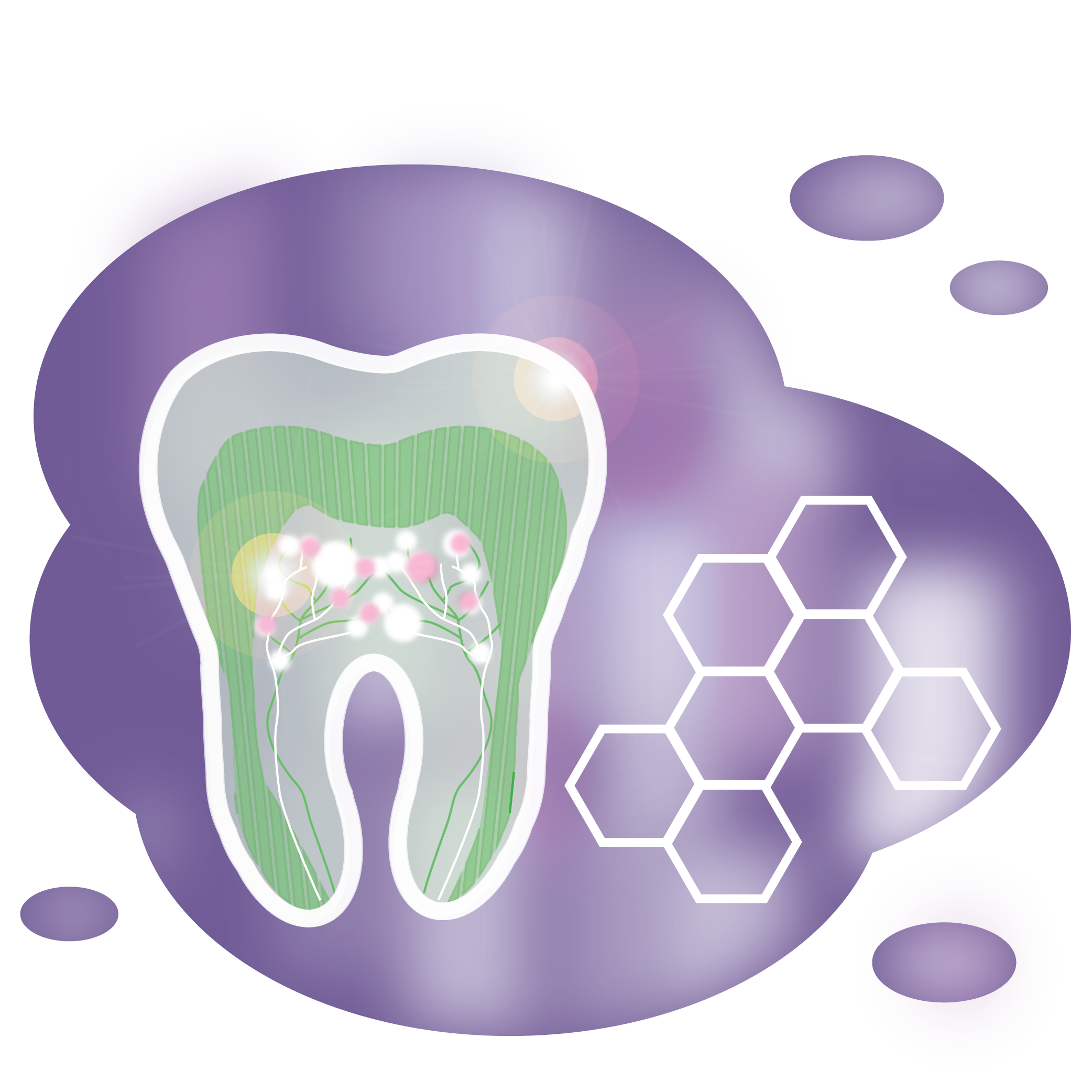 Illustration of a tooth with a close up of the nerves inside similar to what you would be able to view using a dental x-ray 