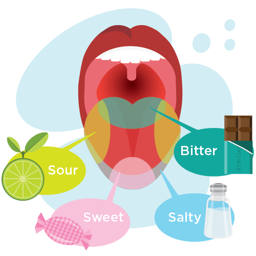 Illustration of an open mouth with red lips and top teeth showing. The tongue is sectioned off into four different areas that represent different tastes detected by taste buds including sour (picture of a lime), sweet (picture of a wrapped candy), salty (picture of a salt shaker) and bitter (picture of a chocolate bar)