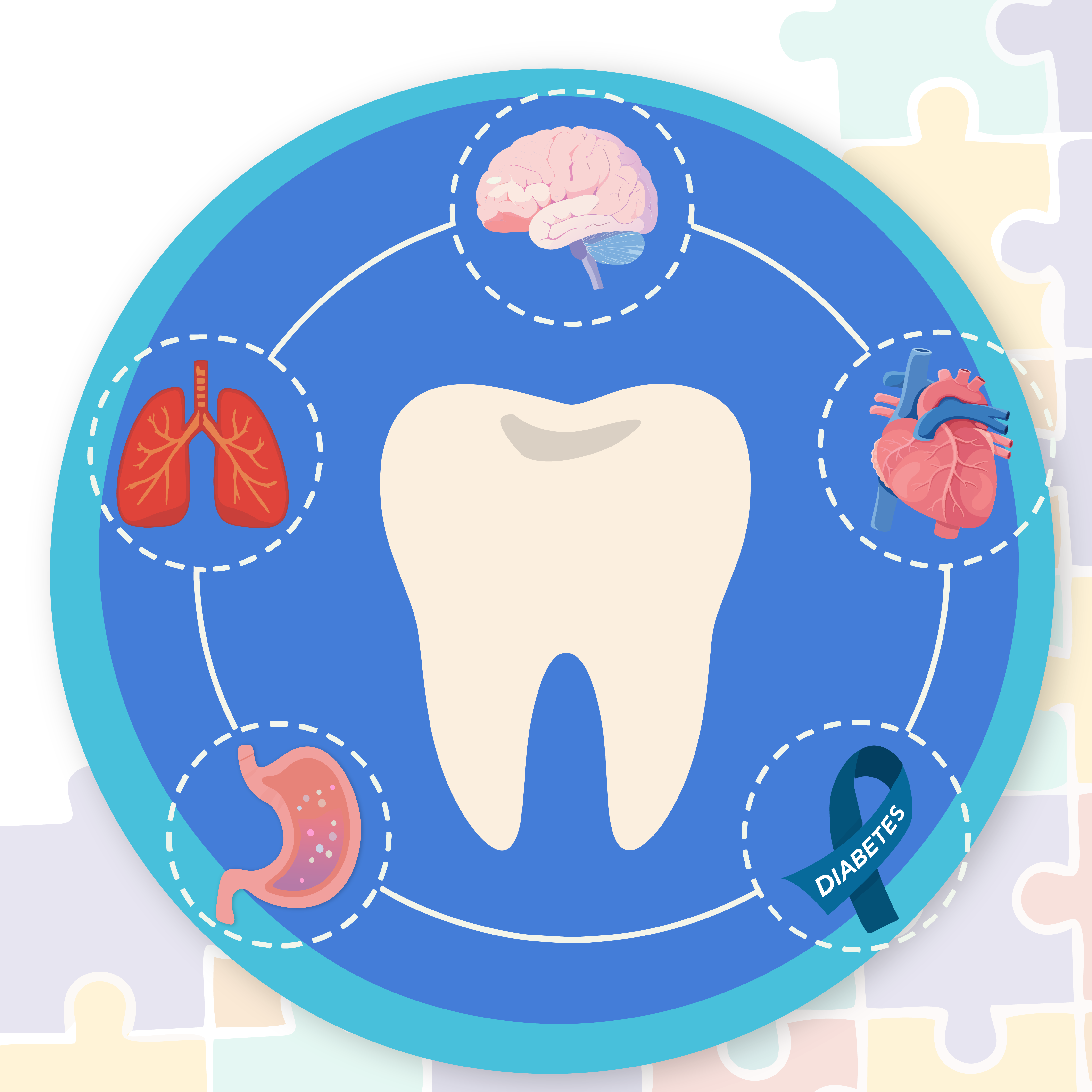 A tooth in the center of a circle that connects the brain, heart, liver and lungs to show how oral health is connected to overall health. 