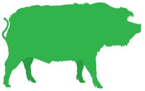 Green graphic of a hog