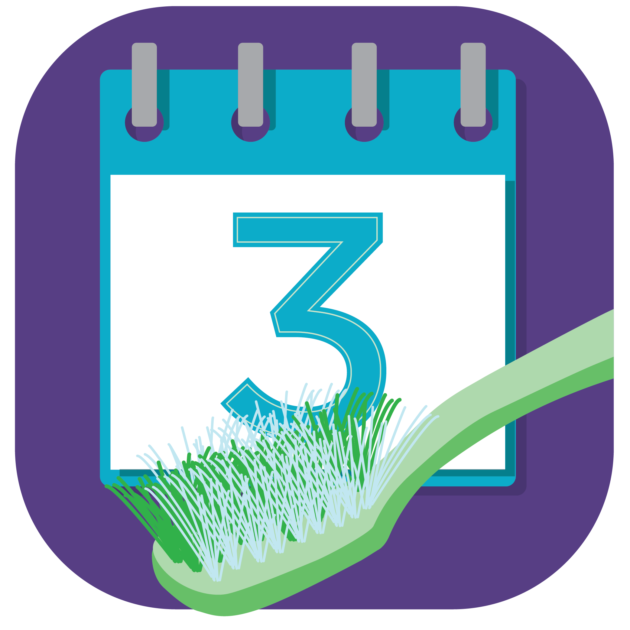 Illustration of a calendar displaying the number 3, indicating you should replace your toothbrush every 3 months. There is also a toothbrush with frayed bristles to show it it should be replaced