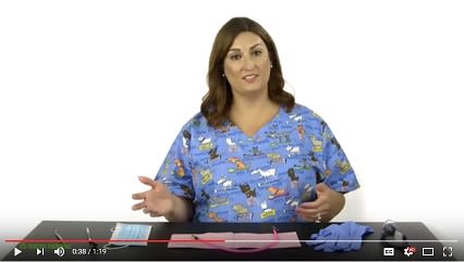 Visiting the dentist is fun!  Below, Dental Hygienist Leah explores what kids can expect to see and experience at their very first dental appointment.