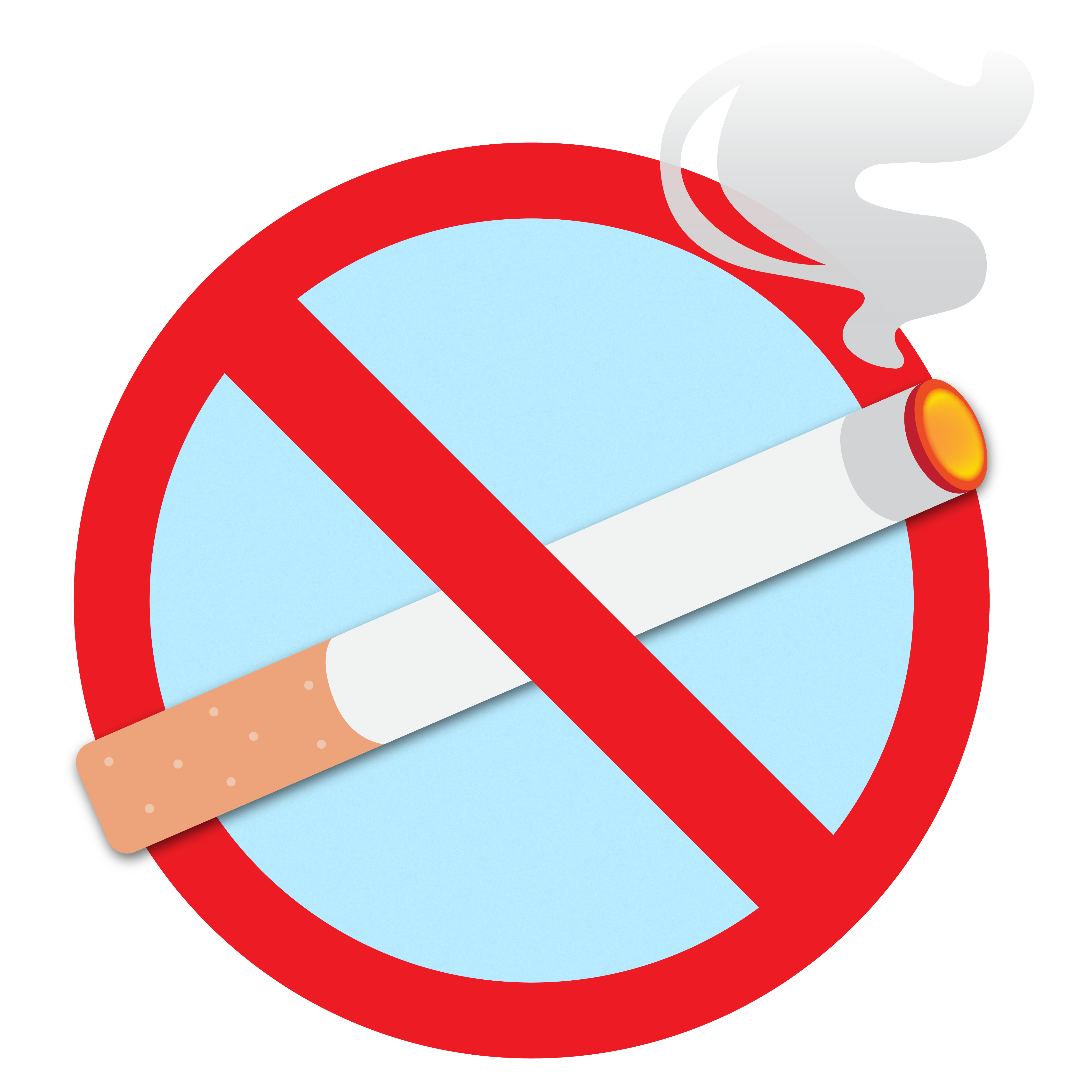 Lit cigarette with a red circle with a slash through it - no smoking sign