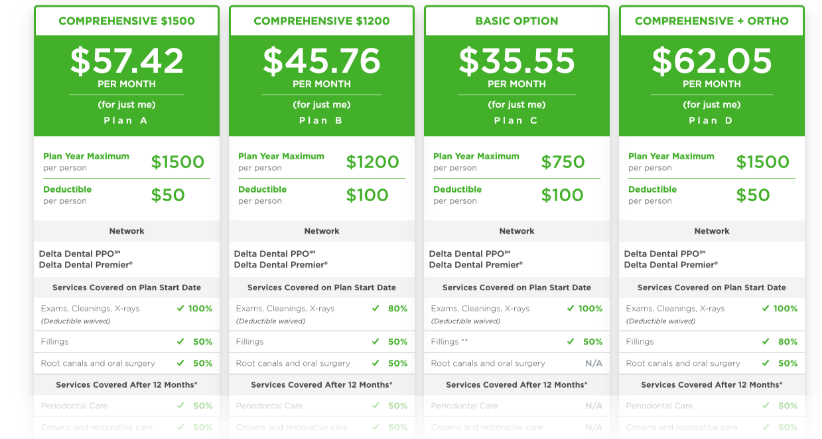 Delta Dental of Minnesota dental plan options
