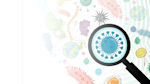 Learn how your oral microbiome impacts your dental and overall health. 