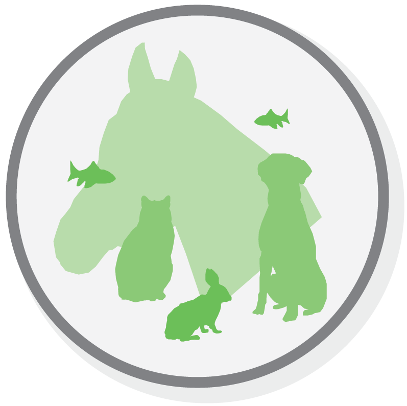 Various pet silhouettes in circle