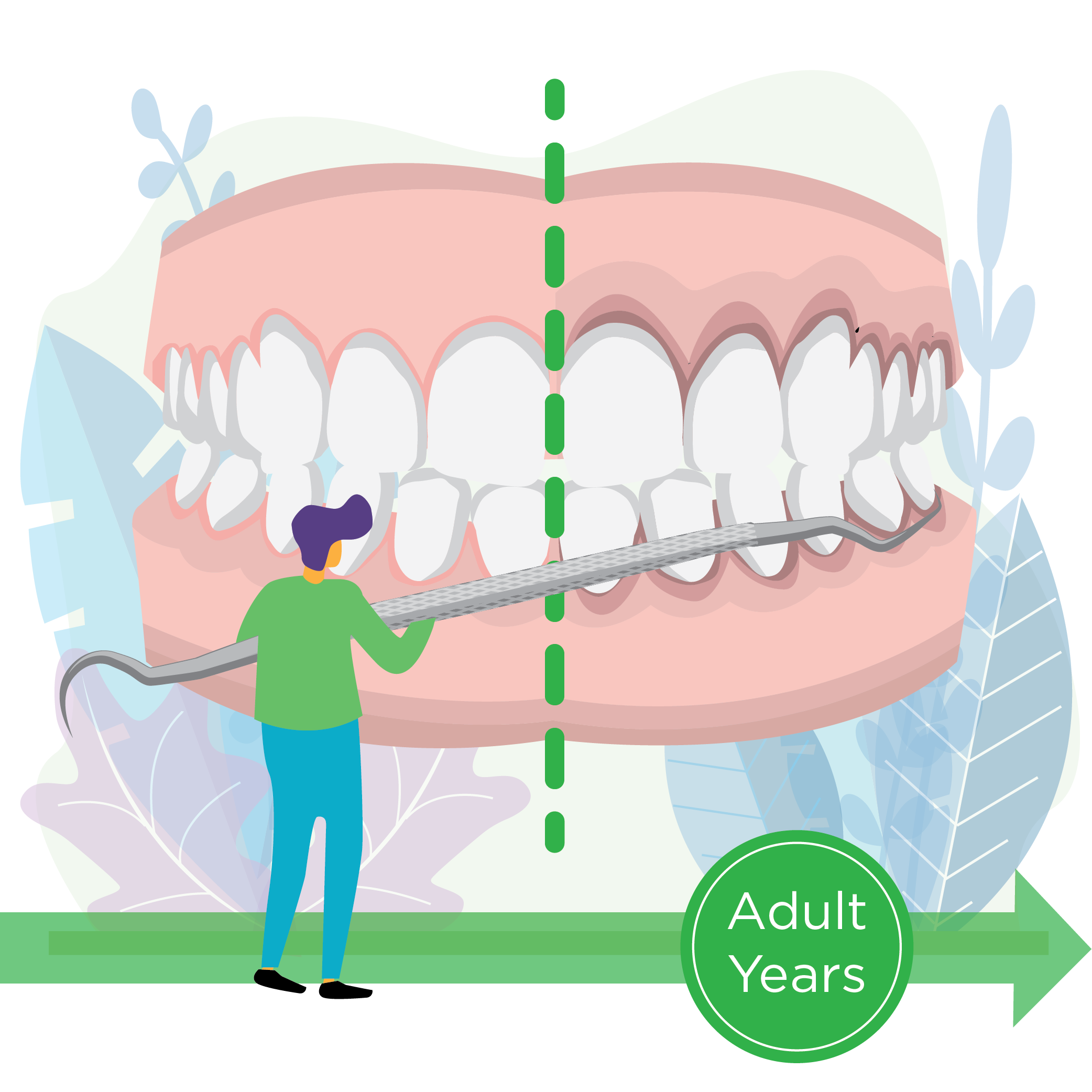 Illustration of a small figure standing in front of a large jaw with teeth and gums using a dental tool to clean the teeth. A banner across the bottom says, "Adult Years"