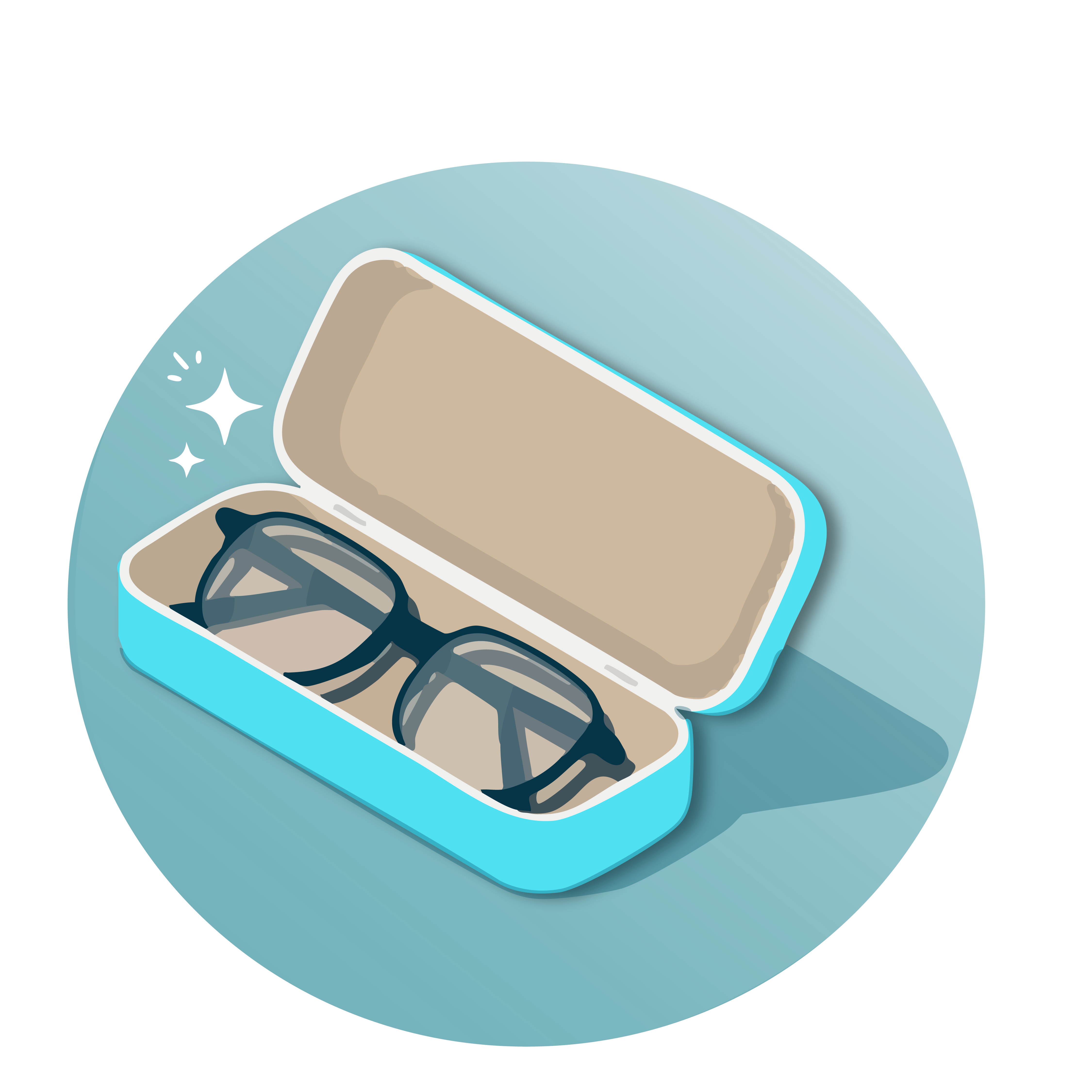 Glasses stored in an open case