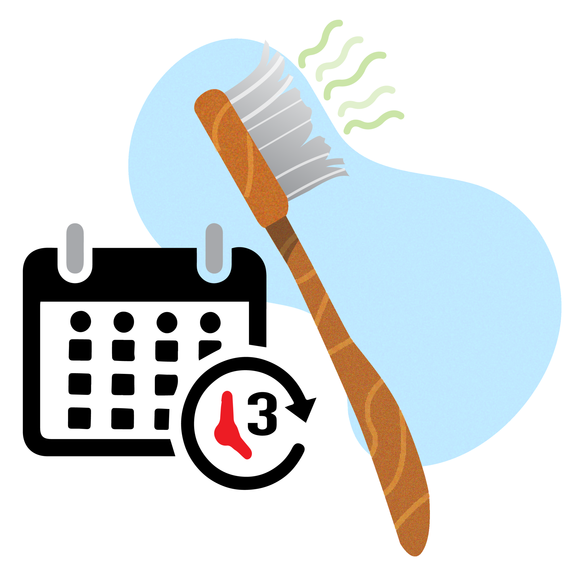 Illustration of a toothbrush with frayed bristles. There is a calendar with a 3 circled to indicate that a toothbrush should be replaced every three months. 