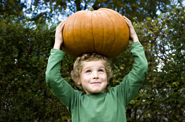 In addition to being delicious, pumpkin also provides a variety of oral health benefits that may help balance the sugary excess of Halloween candy. 
