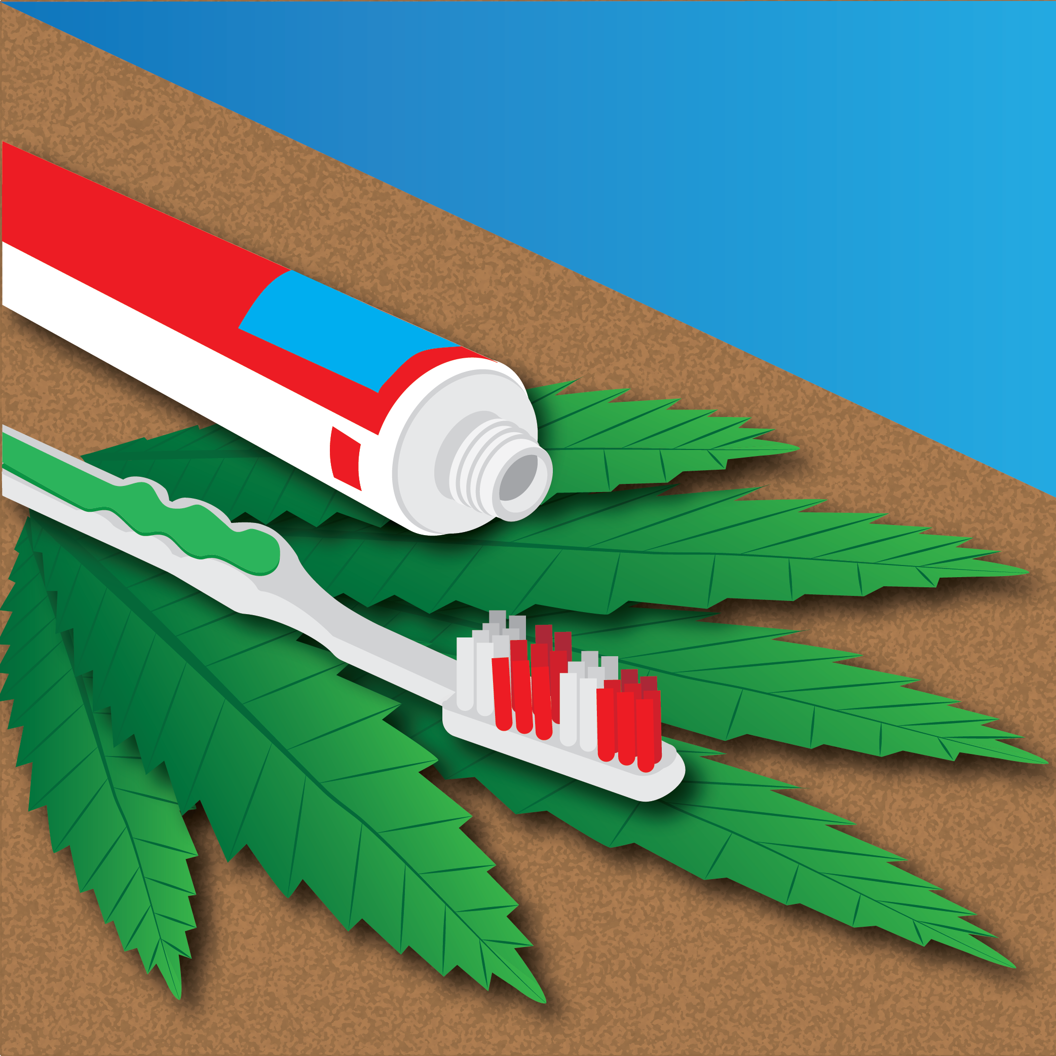 Illustration of toothbrush and toothpaste with a marijuana leaf behind them