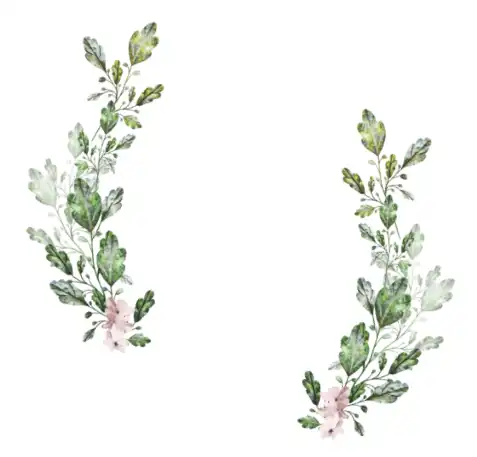 Customer Review Image