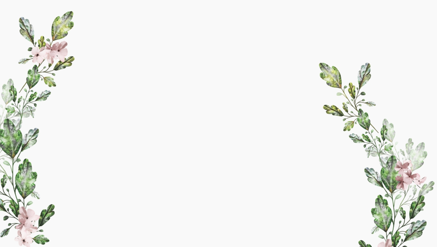 Homepage Related Products BG