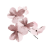 Rate and Review Top Flower