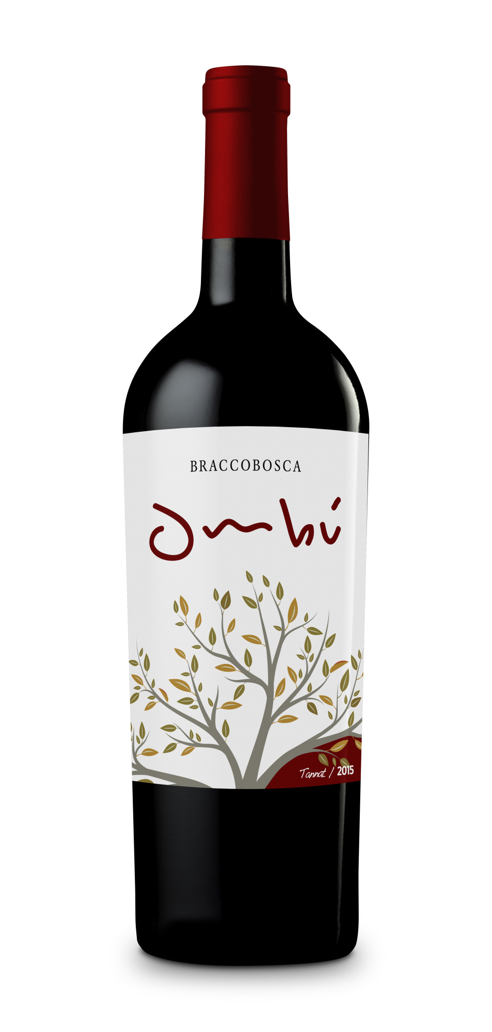 BraccoBosca La Flor del Ombu 2017 Botella